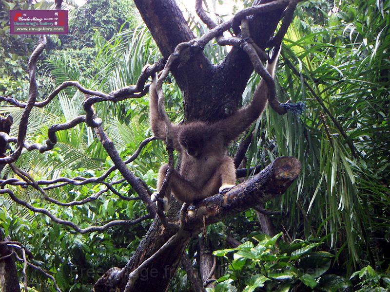 PICT2814.JPG