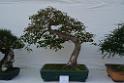 20150328sm-floral-exhibition_DSC_1889