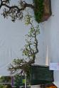 20150328sm-floral-exhibition_DSC_1900