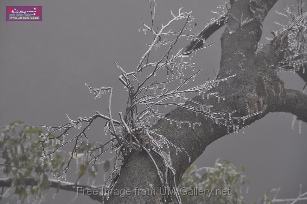 mongshan national park, hunan
