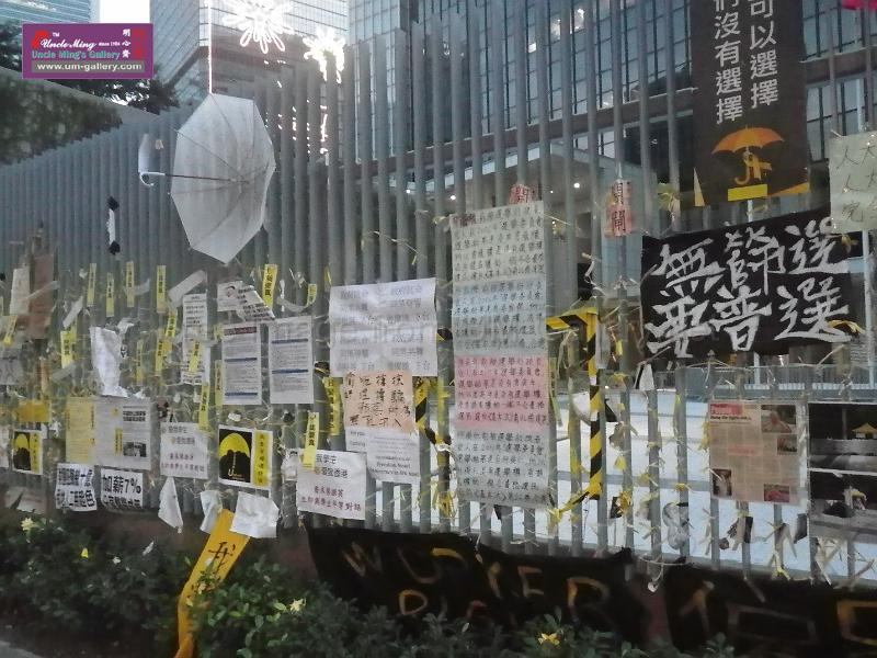 20141207sm-occupyadmiralty-IMGP0779.JPG