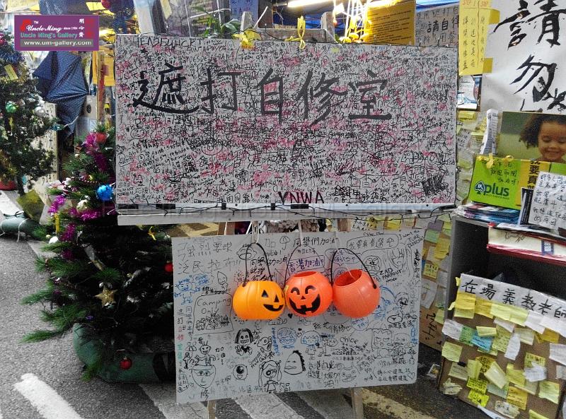 sm-occupyadmiralty-IMG_20141207_165146.jpg