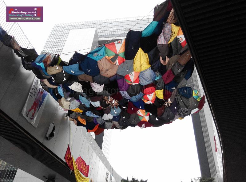 sm-occupyadmiralty-IMG_20141207_165224.jpg