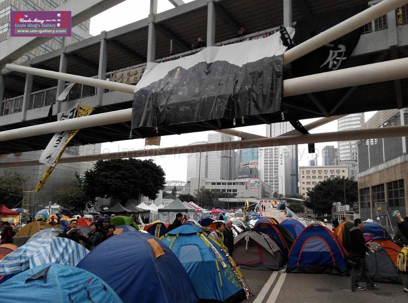 sm-occupyadmiralty-IMG_20141207_165848.jpg
